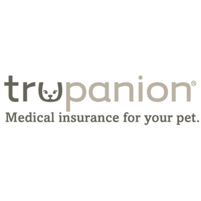 Pet Insurance - Buzzards Bay Veterinary Associates ...