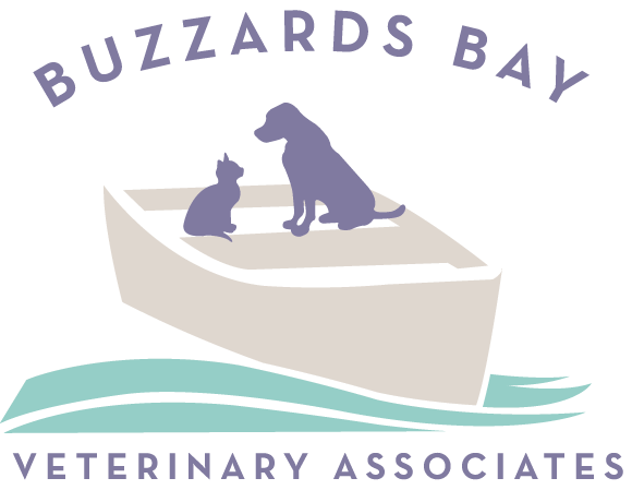 Buzzards Bay Veterinary Associates
